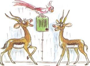 Телефон (иллюстрации: Сутеев В.) Телефон газели попугай