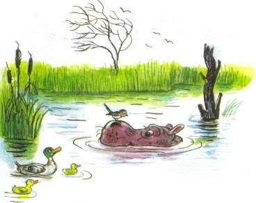 Телефон (иллюстрации: Сутеев В.) Телефон бегемот болото вода