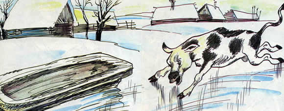 Теленок на льду