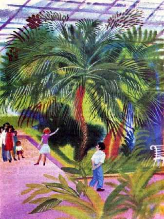 Темная комната (повесть) Темная комната