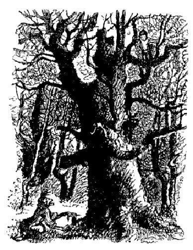 Терёшечка (сказка) Терёшечка на дубе