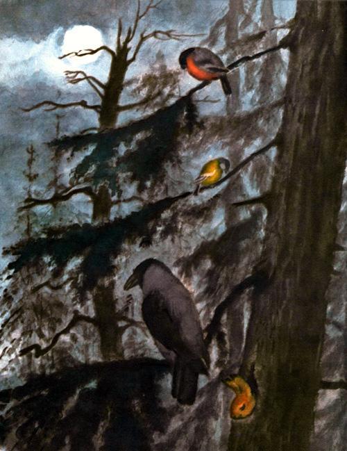 птицы в темном дремучем лесу ворон на ветке