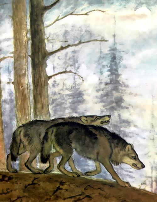 Тихая сказка (стих) волки уходят