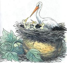 аист и аистята в гнезде