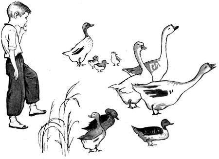 Тимоха (рассказы) мальчик и гуси