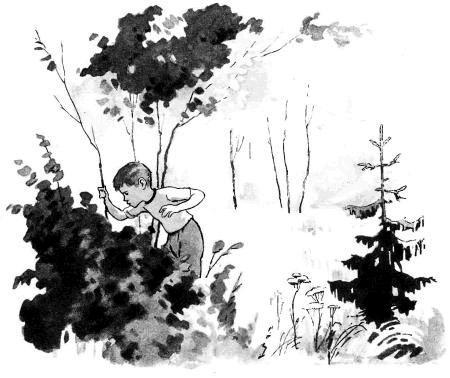 Тимоха (рассказы) мальчик ищет в кустах