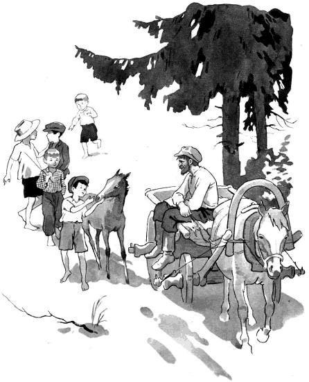 Тимоха (рассказы) лошадь тянет телегу рядом жеребёнок и мальчишки идут рядом