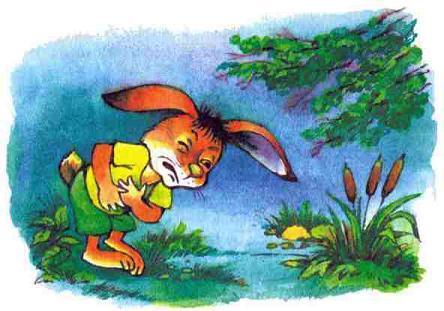 заяц болит живот