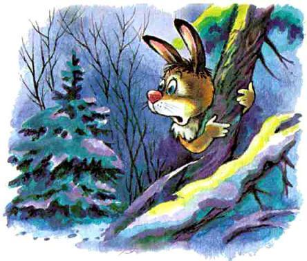 зайцы, заяц