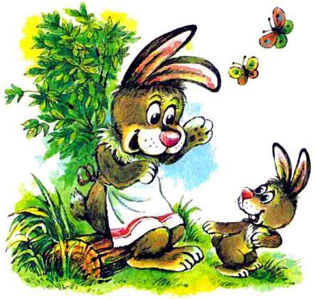 зайцы, заяц