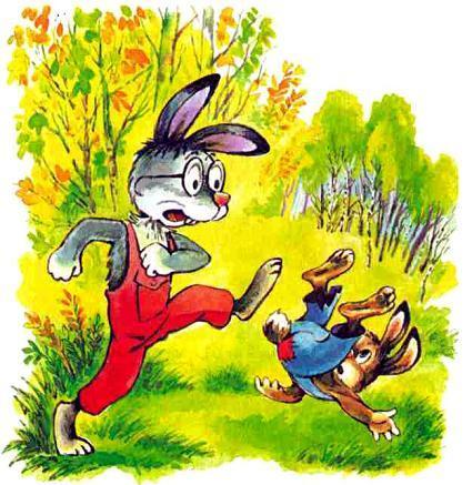 зайцы, заяц