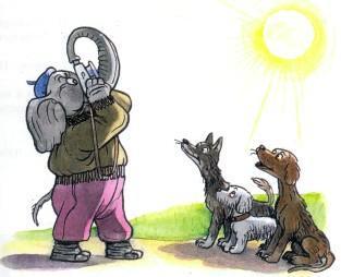 Сказка: Трудное задание (иллюстрации: Сутеев В.) слон фотограф фотографирует солнце собаки рядом