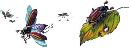 Тук-тук тук