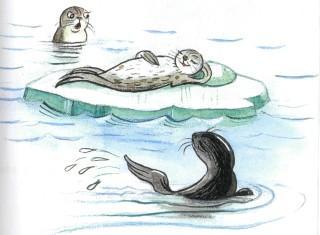 тюлень на льдине спит лежит север