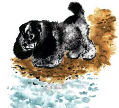 Тюпа, Томка и сорока (рассказ) щенок на берегу