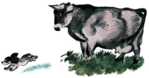 Тюпа, Томка и сорока (рассказ) Щенок Томка и корова