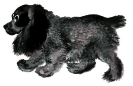 Тюпа, Томка и сорока (рассказ) пёс