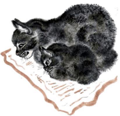 Тюпа, Томка и сорока (рассказ) Котёнок Тюпа и мама кошка