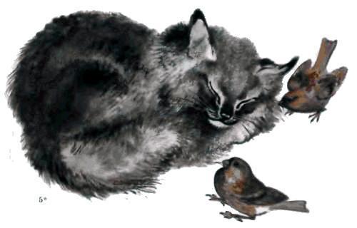Котёнок Тюпа