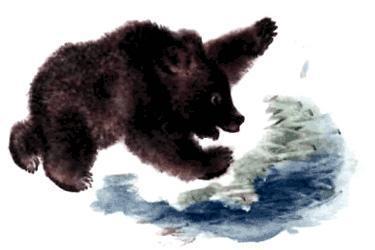 Тюпа, Томка и сорока (рассказ) медвежонок