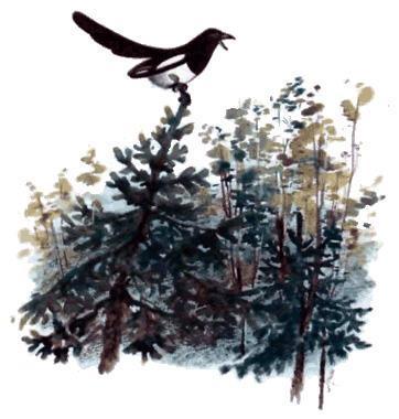 Тюпа, Томка и сорока (рассказ) сорока на верхушке елки