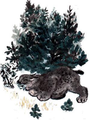 Тюпа, Томка и сорока (рассказ) рысь