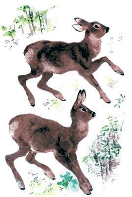 Тюпа, Томка и сорока (рассказ) дикие козы