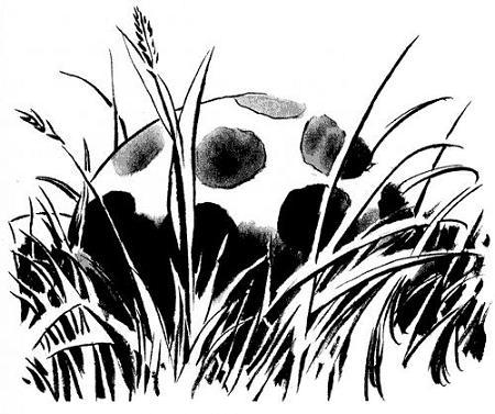 Удивительное пятнистое яйцо