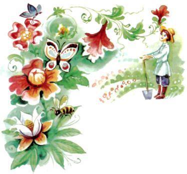 прекрасный сад садовник