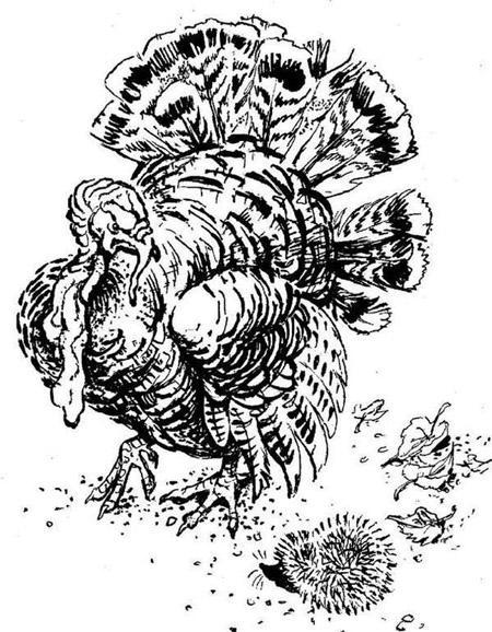 Умнее всех Умнее всех