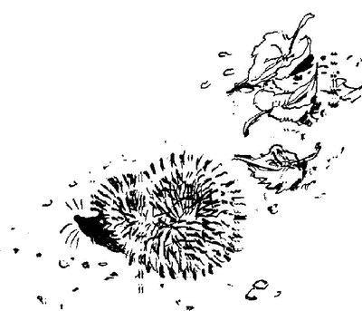 Умнее всех Умнее всех