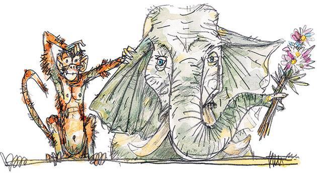 Умные животные Умные животные