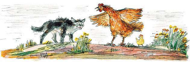 Умная кура Умная кура