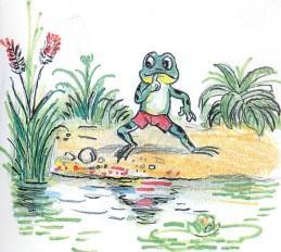 лягушонок, лягушка, болото, озеро