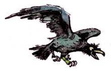 ворона кагги карр