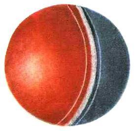 Усатый-полосатый (стих) мяч