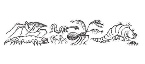 В конце ноября