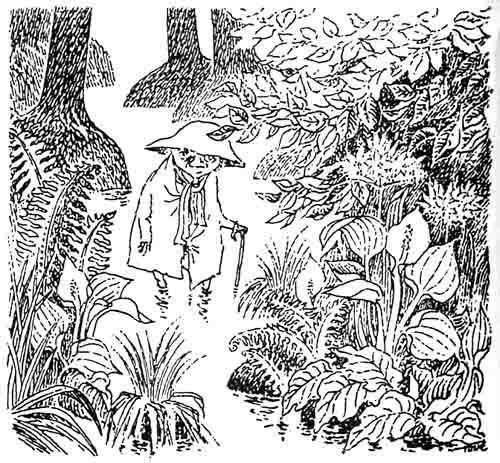 В конце ноября