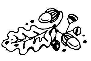 Васина гора (сказ) Васина гора