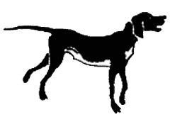 Вася Веселкин