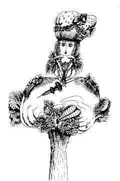 Ведьмы и все прочие (сказка) Ведьмы и все прочие