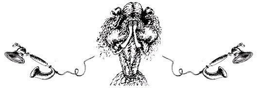 Ведьмы и все прочие