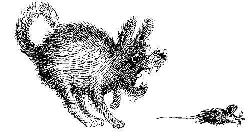 Ведьмы и все прочие (сказка) Ведьмы и все прочие