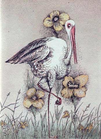 Ведьмы и все прочие (сказка) Ведьмы и все прочие