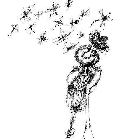 Ведьмы и все прочие (сказка) Ведьмы и все прочие