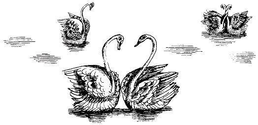 Ведьмы и все прочие (сказка) Ведьмы и все прочие