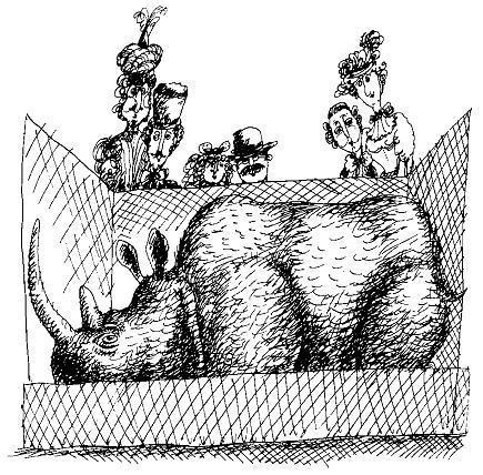 Ведьмы и все прочие (сказка) Ведьмы и все прочие