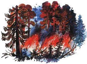 Великан на поляне, или Первые уроки экологической этики пожар