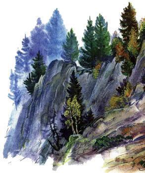 Великан на поляне, или Первые уроки экологической этики скалы