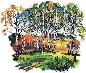 Великан на поляне, или Первые уроки экологической этики берёзы